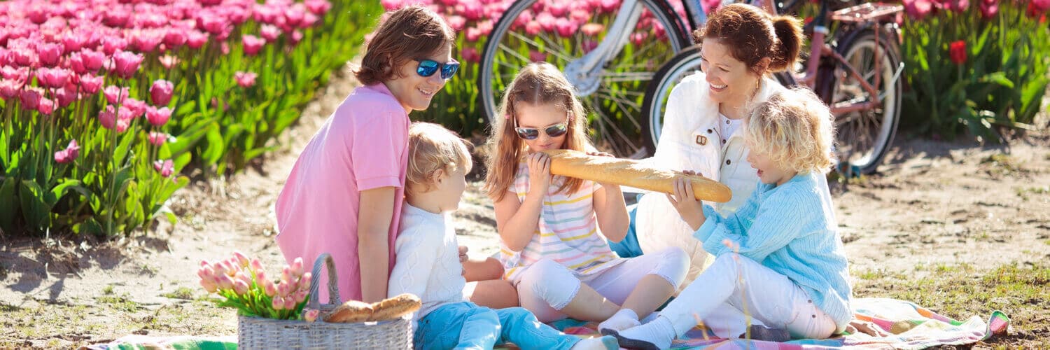 familienurlaub holland-eine-familie-picknickt-an-einem-tulpenfeld
