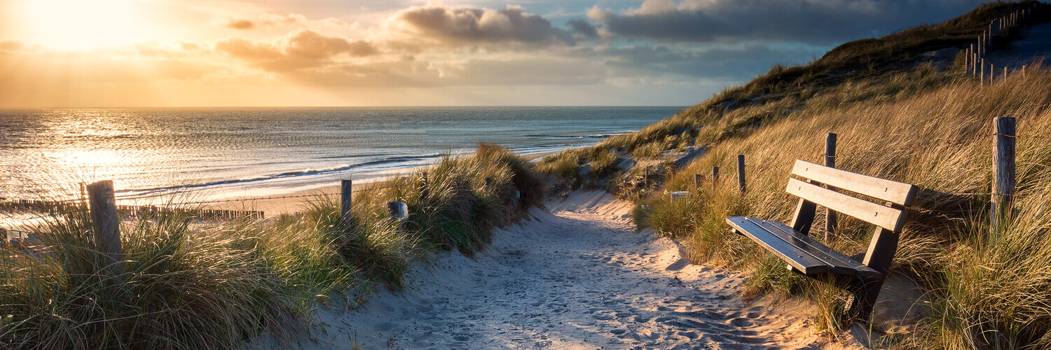 nordsee in holland-eine-bank-in-den-dünen-am-nordseestrand