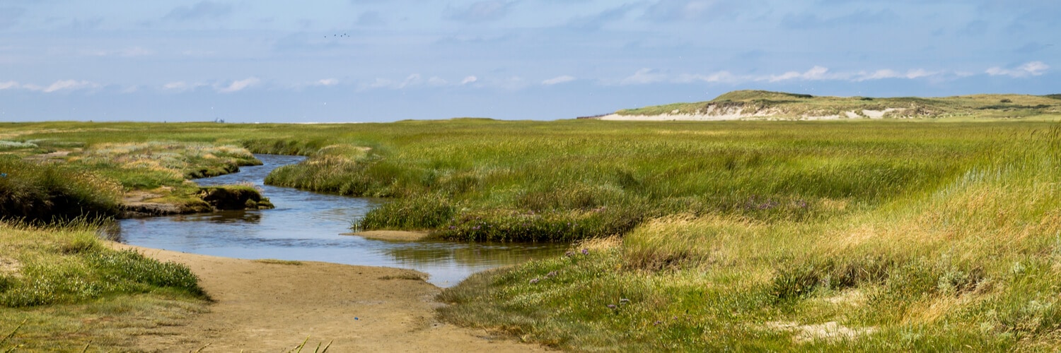 Marschlandschaft im Naturschutzgebiet von Texel