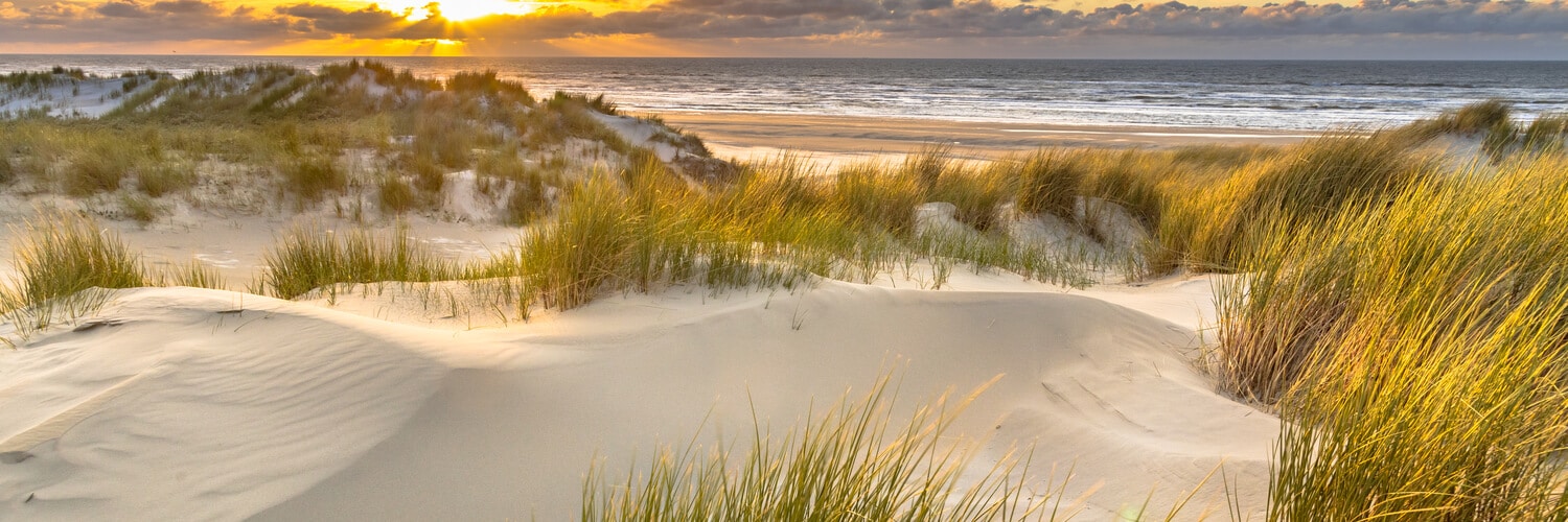 Dünenlandschaft auf Ameland