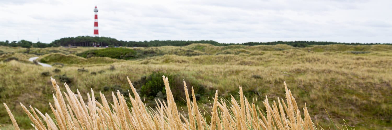 Landschaft auf Ameland