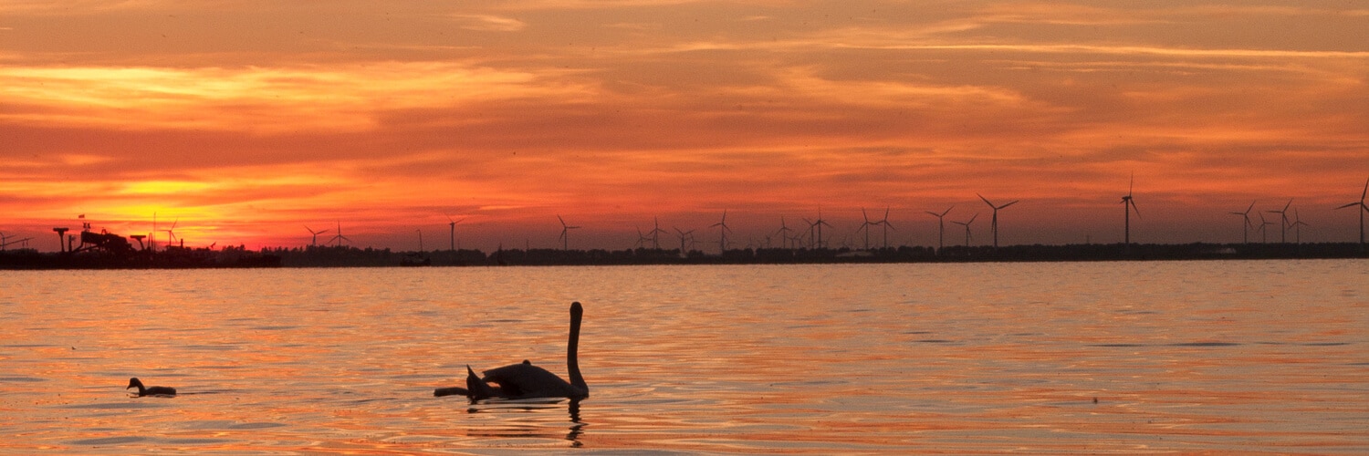 Sonnenuntergang am Veluwemeer