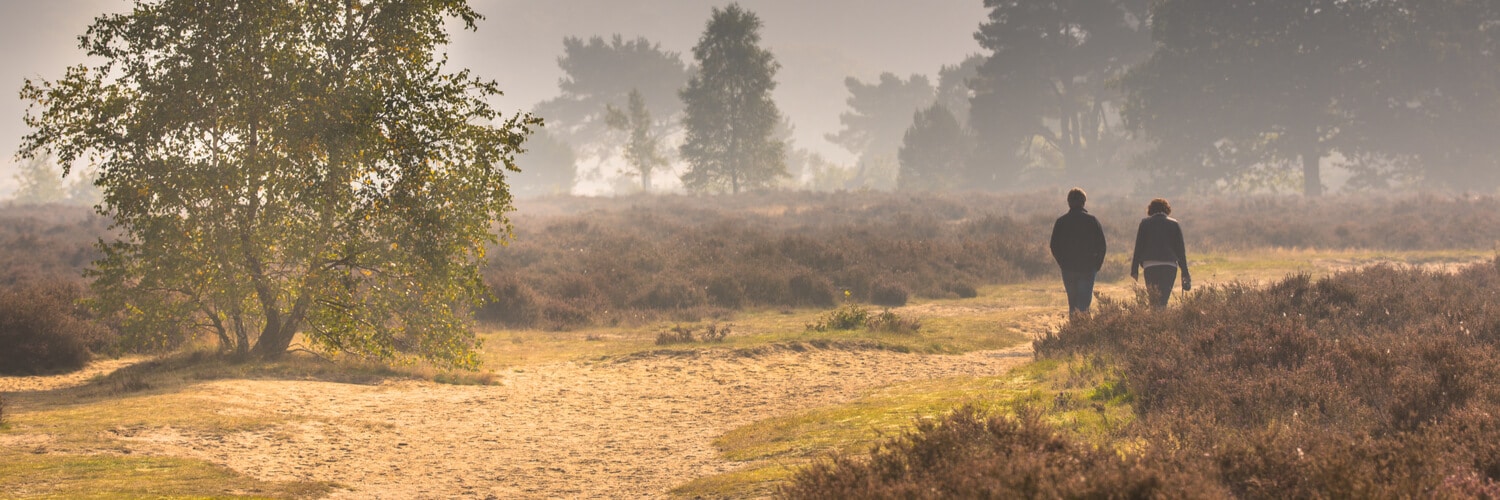 Paar wandert durch Hoge Veluwe