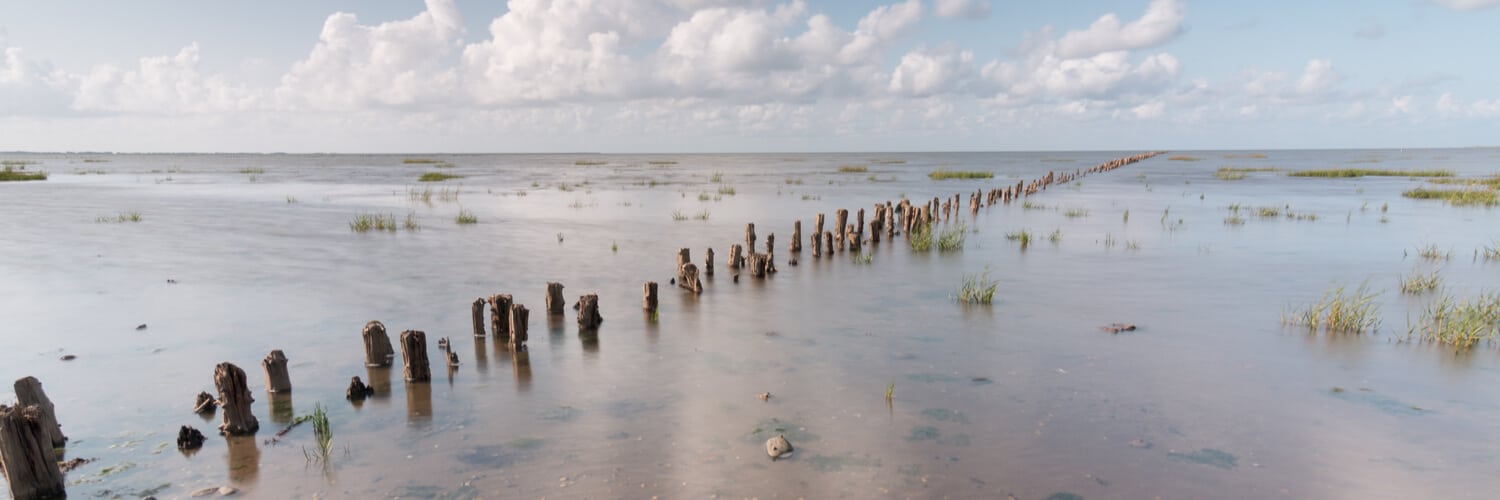 Holzsäulen am Wattenmeer