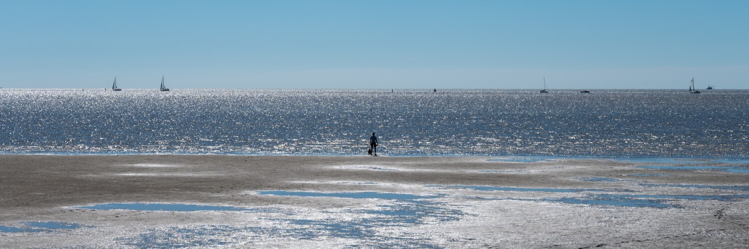 Harlingen Meer