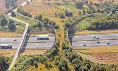 Reisen nach Holland – idealer Urlaub mit dem Auto