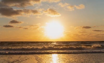 Petten aan Zee – Nordseeurlaub in ruhiger Umgebung