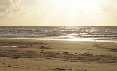 Bloemendaal aan Zee – ein Synonym für Strand und Dünen