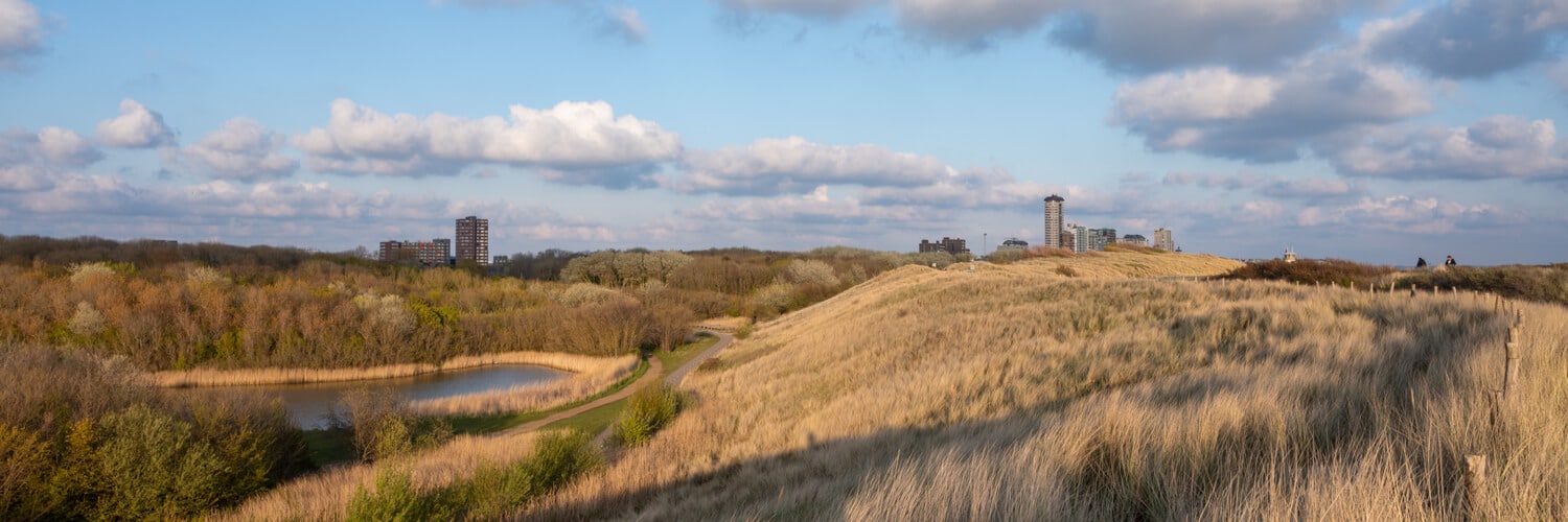 Schöne Landschaft in Holland