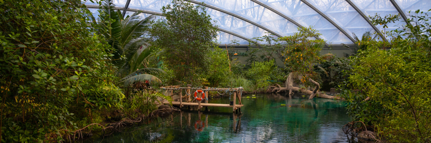 Burgers zoo Mangroven