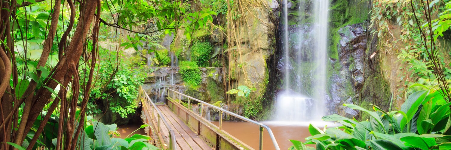 Schöne Brücke mit Wasserfall im Burgers zoo