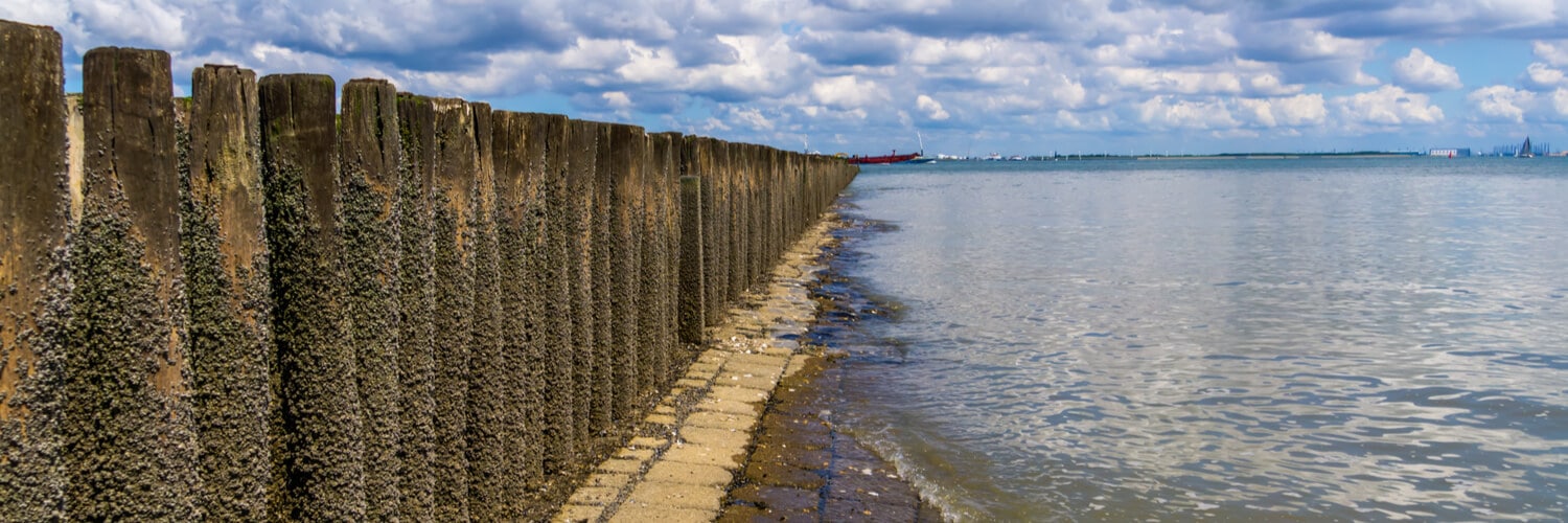 Wellenbrecher am Strand von Breskens